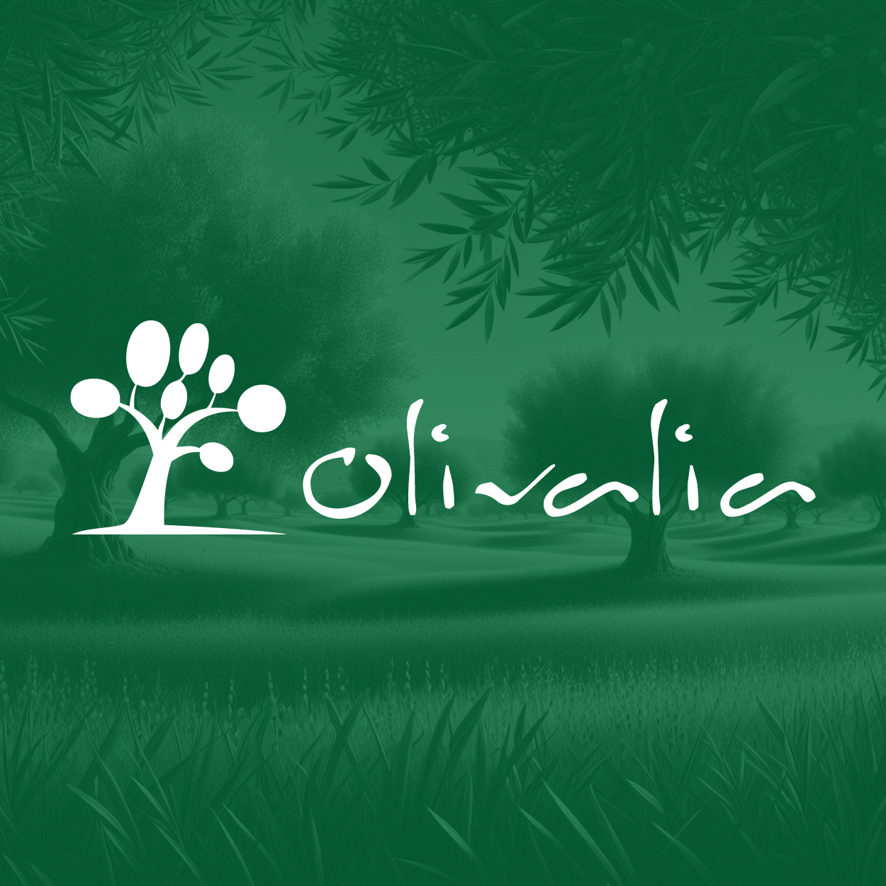 تصميم شعار زيت زيتون