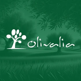 زيت زيتون بكر ممتاز